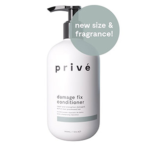 Product image for Prive Damage Fix Conditioner 12 oz