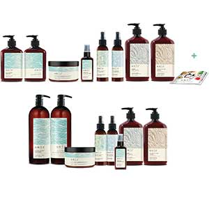 Product image for Amir Salon Intro