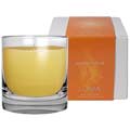 Product image for Loma Spicy Citrus Candle