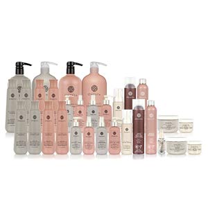 Product image for Onesta Large Introductory Kit
